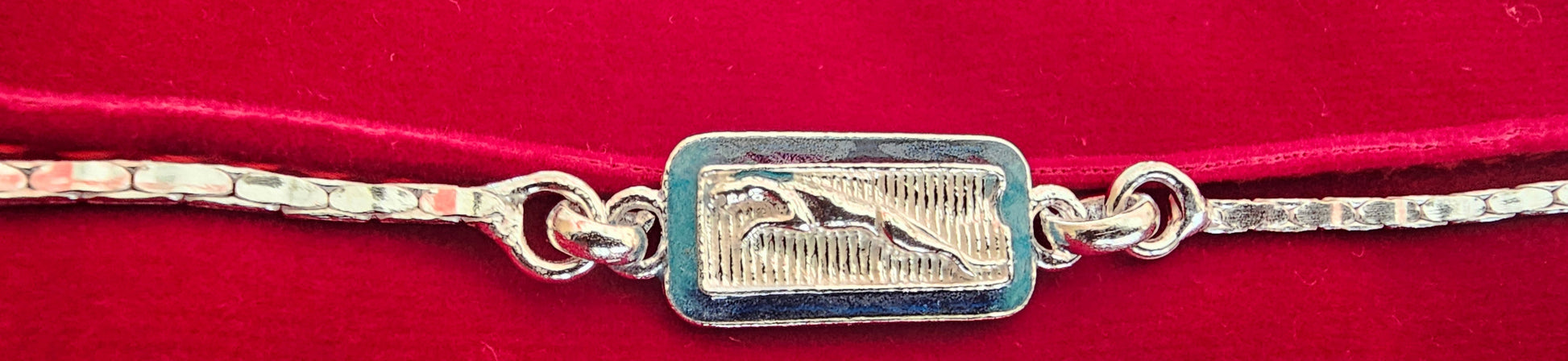 jaguar_rakhi